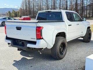 2026 Toyota TACOMA HYBRIDE LIMITED EDITION NOLS SPORT TOILE BOITE / MAGS ET PNEUS HORS ROUTE / LOGO NOIR in Thetford Mines, Quebec - 5 - w320h240px