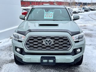2022 Toyota Tacoma D-CAB TRD SPORT PREMIUM 4X4 / COULEUR TRÈS RARE / in Thetford Mines, Quebec - 3 - w320h240px