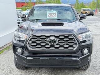 Toyota Tacoma D-CAB / 4X4 / TRD SPORT / 37.500KM / TOILE / MARCHEPIEDS  / 2023 à Thetford Mines, Québec - 2 - w320h240px