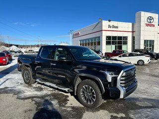 Tundra LIMITED / PNEUS KO2 / MARCHE PIED / PEA PLATINE 2023 à Thetford Mines, Québec - 3 - w320h240px