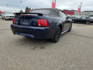 2003  Mustang V6 Convertible in Rivière-du-Loup, Quebec - 5 - w320h240px