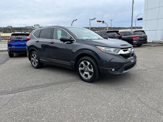 CR-V EX-L AWD  2017 à Rivière-du-Loup, Québec - 6 - w320h240px