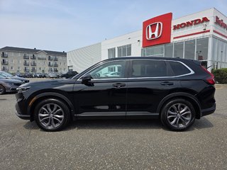 Honda CR-V LX 4WD  2023 à Rivière-du-Loup, Québec - 2 - w320h240px