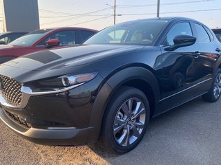 2025 Mazda CX-30 GS