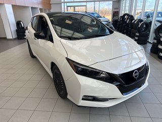 2025  Leaf SV PLUS in Cowansville, Quebec - 6 - w320h240px