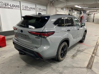 Toyota Highlander Hybrid XLE 2024 à Cowansville, Québec - 3 - w320h240px
