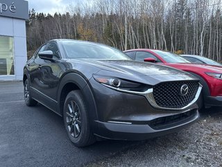 2025 Mazda CX-30 GX 2.5L AWD (EXTRA MACHINE GREY PAINT) 2.5L