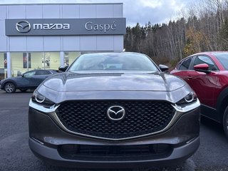 2025 Mazda CX-30 GX 2.5L AWD (EXTRA MACHINE GREY PAINT) 2.5L