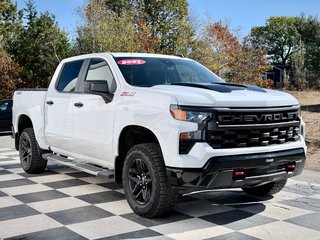 2024 Chevrolet Silverado 1500 Custom Trail Boss | Spacious + Rugged, Rear Camera in COLDBROOK, Nova Scotia - 3 - w320h240px