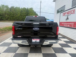 Ford F150 SUPERCREW XLT, keyless entry, CRUSIE CONTROL, Bluetooth 2016 à COLDBROOK, Nouvelle-Écosse - 5 - w320h240px