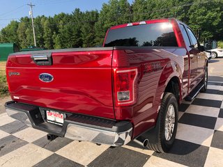 Ford F150 XLT - CD Player, Hands Free, Power Windows 2017 à COLDBROOK, Nouvelle-Écosse - 4 - w320h240px