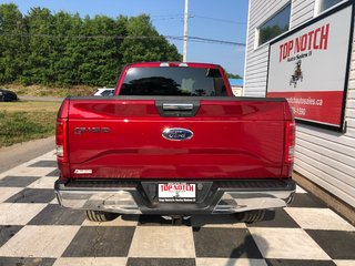 Ford F150 XLT - CD Player, Hands Free, Power Windows 2017 à COLDBROOK, Nouvelle-Écosse - 5 - w320h240px