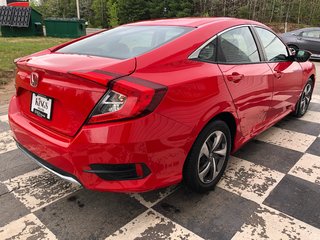 2021 Honda Civic LX - reverse cam, hands free, heated seats, cruise in COLDBROOK, Nova Scotia - 4 - w320h240px