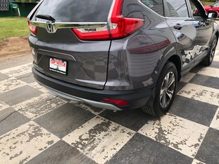 2019 Honda CR-V LX LX - cruise control, reverse camera, hands free in Kentville, Nova Scotia - 4 - w320h240px