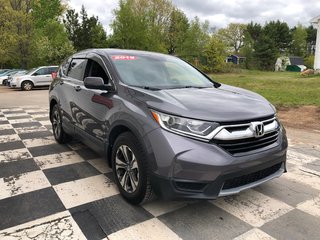 2019 Honda CR-V LX LX - cruise control, reverse camera, hands free in Kentville, Nova Scotia - 3 - w320h240px