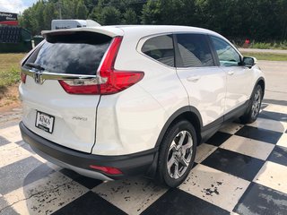 CR-V EX-L, sunroof, dual climate zones, lane departure 2019 à COLDBROOK, Nouvelle-Écosse - 4 - w320h240px