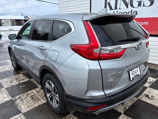 2019 Honda CR-V LX - reverse camera, alloys, lane assist, cruise in COLDBROOK, Nova Scotia - 6 - w320h240px