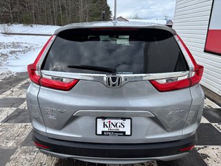 2019 Honda CR-V LX - reverse camera, alloys, lane assist, cruise in COLDBROOK, Nova Scotia - 5 - w320h240px