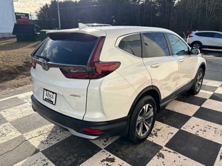 2020  CR-V LX - reverse camera, alloy wheels, heated seats in COLDBROOK, Nova Scotia - 4 - w320h240px