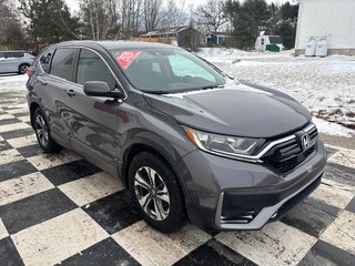 2020 Honda CR-V LX in COLDBROOK, Nova Scotia - 3 - w320h240px