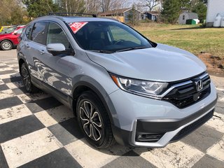 2020 Honda CR-V EX-L in COLDBROOK, Nova Scotia - 3 - w320h240px