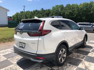 2020 Honda CR-V LX - Reverse Camera, Econ Mode, Carplay in COLDBROOK, Nova Scotia - 4 - w320h240px