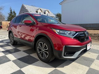 Honda CR-V EX-L, keyless entry, backup camera, Bluetooth 2020 à Kentville, Nouvelle-Écosse - 3 - w320h240px