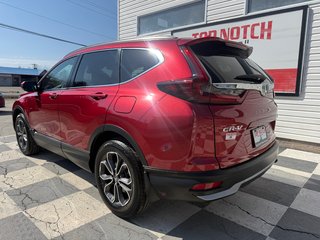 Honda CR-V EX-L, keyless entry, backup camera, Bluetooth 2020 à Kentville, Nouvelle-Écosse - 6 - w320h240px