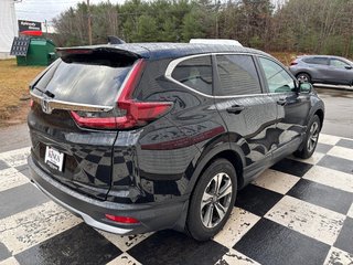 2021  CR-V LX - heated seats, reverse camera, a/c, cruise in COLDBROOK, Nova Scotia - 4 - w320h240px