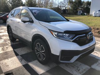 2021 Honda CR-V EX-L - power & heated seats, dual climate zones in COLDBROOK, Nova Scotia - 3 - w320h240px