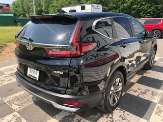 2021 Honda CR-V LX - reverse camera, hands free, cruise control in COLDBROOK, Nova Scotia - 4 - w320h240px