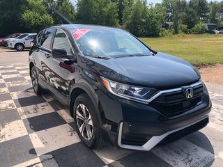 2021 Honda CR-V LX - reverse camera, hands free, cruise control in COLDBROOK, Nova Scotia - 3 - w320h240px
