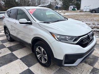 2022 Honda CR-V LX - heated seats, reverse camera, lane departure in COLDBROOK, Nova Scotia - 3 - w320h240px