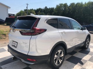 2022 Honda CR-V LX - Carplay, Heated Seats, Reverse Camera in COLDBROOK, Nova Scotia - 4 - w320h240px