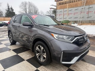 2022 Honda CR-V LX,Keyless entry, remote start, backup camera in COLDBROOK, Nova Scotia - 3 - w320h240px