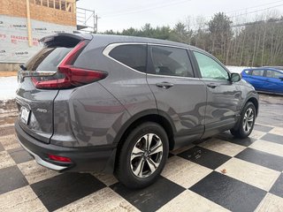 2022 Honda CR-V LX,Keyless entry, remote start, backup camera in COLDBROOK, Nova Scotia - 4 - w320h240px