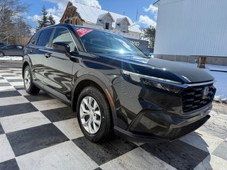 2024 Honda CR-V LX-B, keyless entry, backup camera, Bluetooth in COLDBROOK, Nova Scotia - 3 - w320h240px