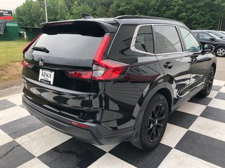 2025 Honda CR-V Sport - sunroof, cruise control, hands free, a/c in Kentville, Nova Scotia - 4 - w320h240px