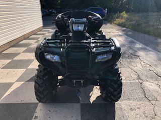 2019  TRX500FM 500, rear seat/storage compartment, manual, winch in COLDBROOK, Nova Scotia - 2 - w320h240px