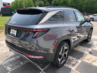 2023 Hyundai Tucson Hybrid Luxury - power seats, sunroof, hands free, AWD in COLDBROOK, Nova Scotia - 4 - w320h240px