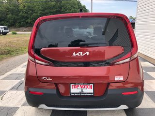 2022 Kia Soul EX - Reverse Camera, Carplay, Heated Seats in COLDBROOK, Nova Scotia - 5 - w320h240px