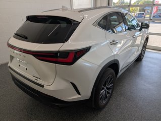 2024 Lexus NX 350h PREMIUM, in Magog, Quebec - 3 - w320h240px