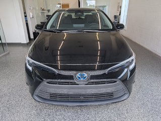Toyota Corolla Hybrid LE, GARANTIE JUSQU EN 2028, 2024 à Magog, Québec - 6 - w320h240px