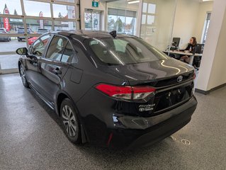 Toyota Corolla Hybride  LE AWD 2024 à Magog, Québec - 5 - w320h240px
