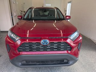 Toyota RAV4 Hybrid LE AWD, 2020 à Magog, Québec - 6 - w320h240px