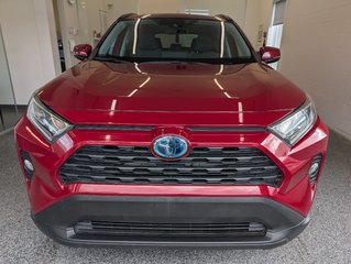 2020 Toyota RAV4 Hybrid XLE AWD, A/C, in Magog, Quebec - 6 - w320h240px