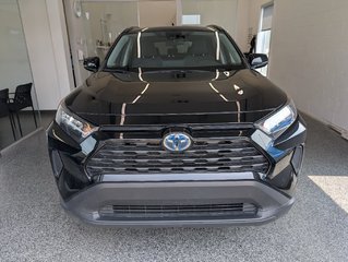 Toyota RAV4 Hybrid LE AWD, GARANTIE JUSQU EN 2028, 2023 à Magog, Québec - 6 - w320h240px
