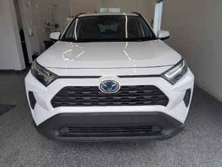 2023 Toyota RAV4 Hybrid XLE AWD, in Magog, Quebec - 5 - w320h240px