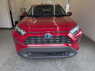 2023 Toyota RAV4 Hybrid XLE AWD, in Magog, Quebec - 5 - w320h240px