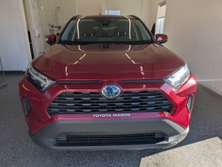 Toyota RAV4 Hybrid XLE AWD, 2023 à Magog, Québec - 5 - w320h240px